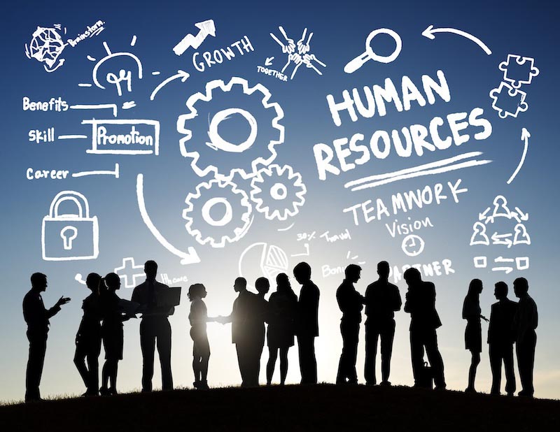 Human Resources wallpaper mural