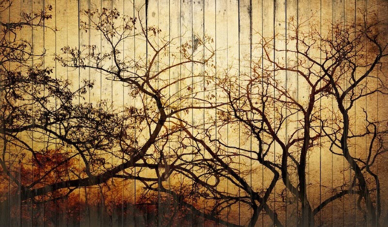 Art On Wooden Wall wallpaper mural