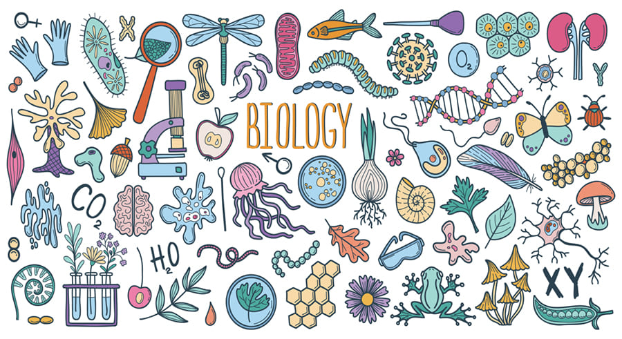 Biology Poster wallpaper mural