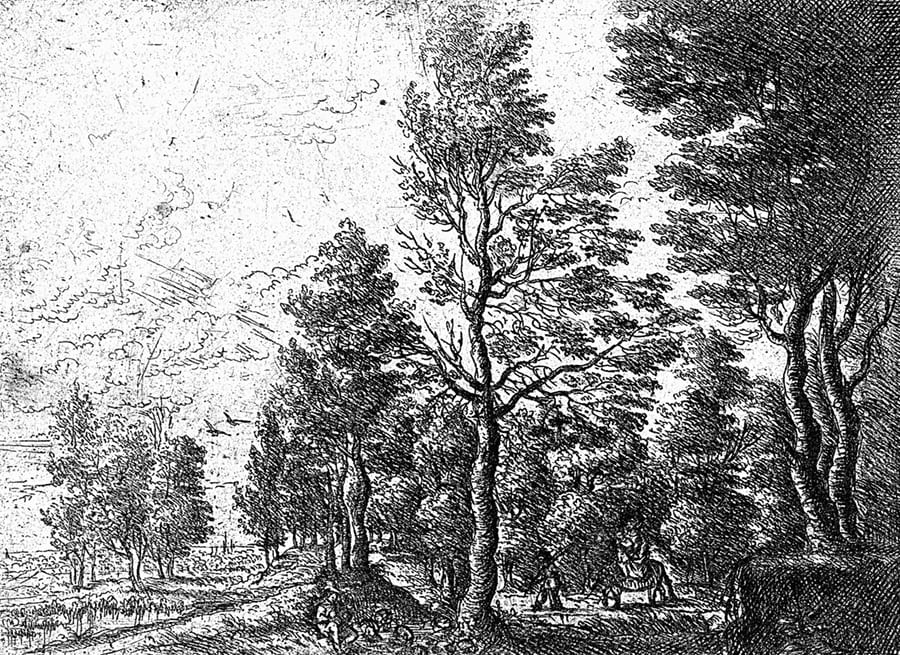 Monochrome Woodland Sketch wallpaper mural