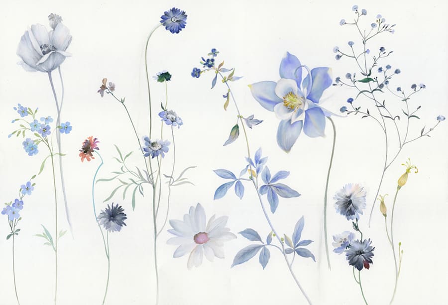 Delicate Blue Wildflower Watercolor wallpaper mural