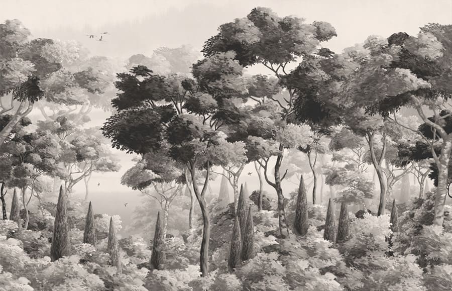 Misty Monochrome Forest wallpaper mural