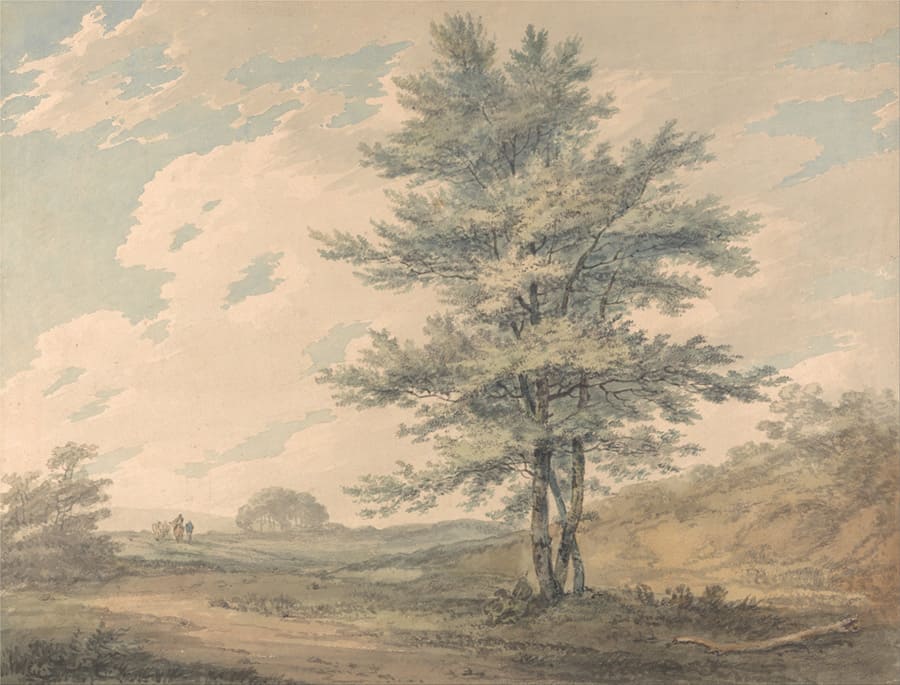 Vintage Pine Tree Landscape wallpaper mural