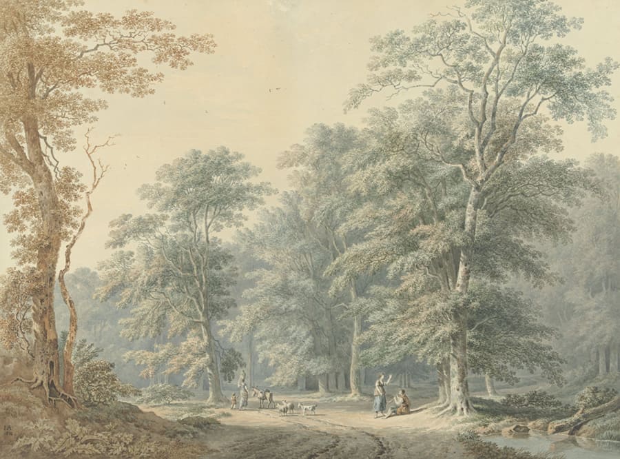 Vintage Woodland Engraving wallpaper mural
