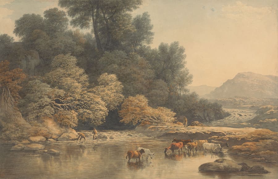 Vintage Woodland Valley Landscape wallpaper mural