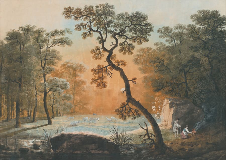 Twisted Tree Forest wallpaper mural