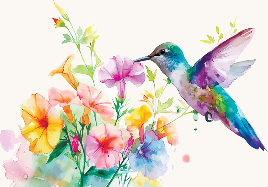 Colorful Hummingbird wallpaper mural