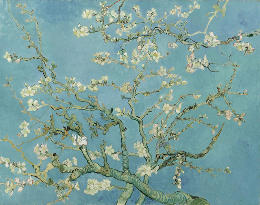 Van Gogh Almond Blossom wallpaper mural