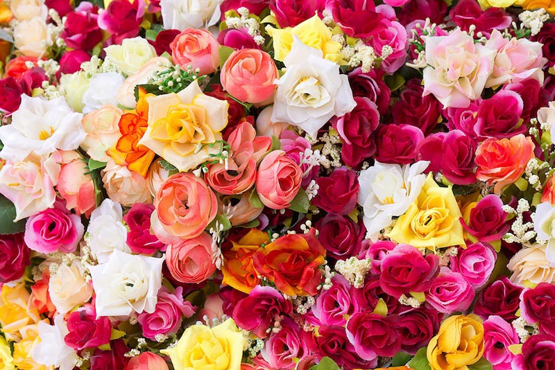 Roses Of All Colors wallpaper mural