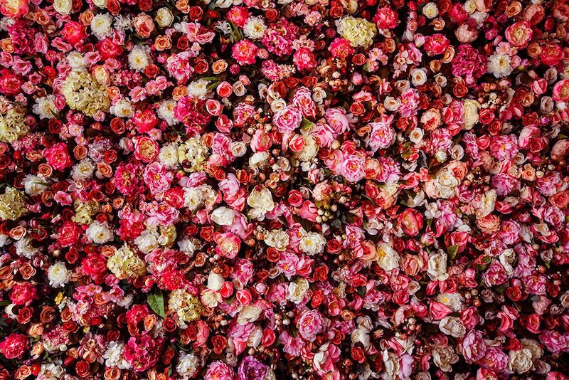 Thousands Of Roses wallpaper mural