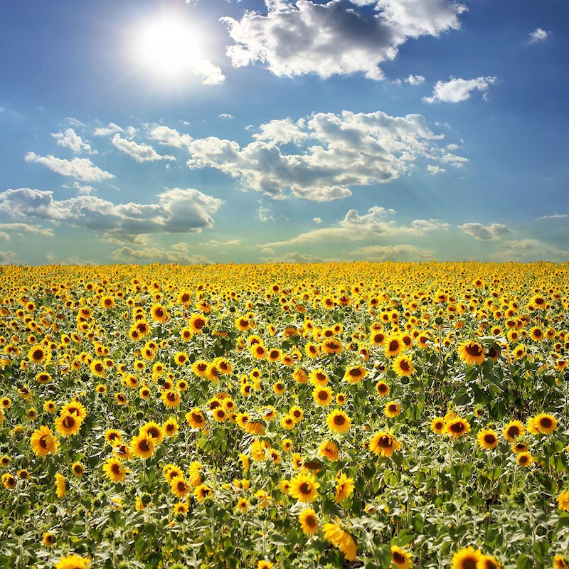 Lunar Landscape wallpaper mural