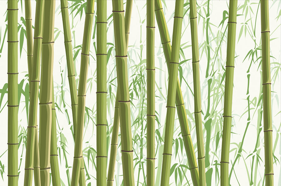 Bamboo Painting wallpaper mural