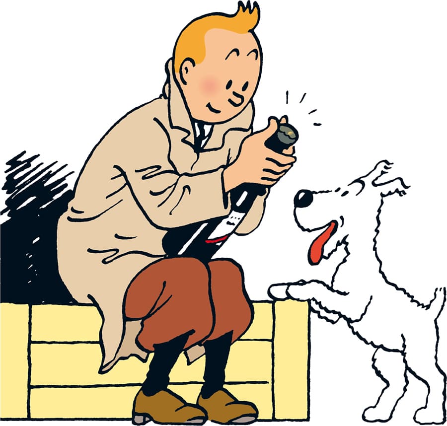 Tintin wallpaper mural