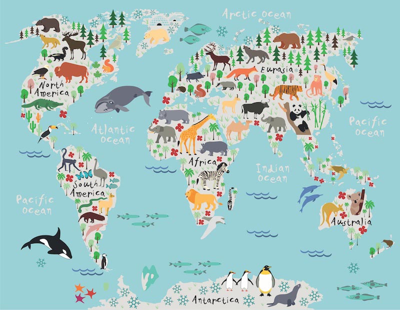 Distribution Of The World Map Of Animals wallpaper mural