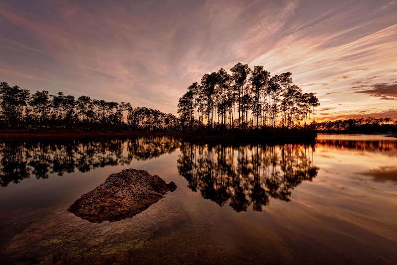 Reflection Of Nature wallpaper mural
