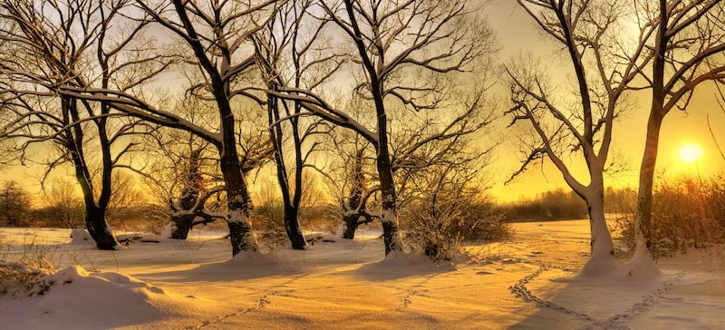 Harmony Between Snow And Sun wallpaper mural