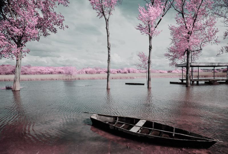 Love Sandals wallpaper mural