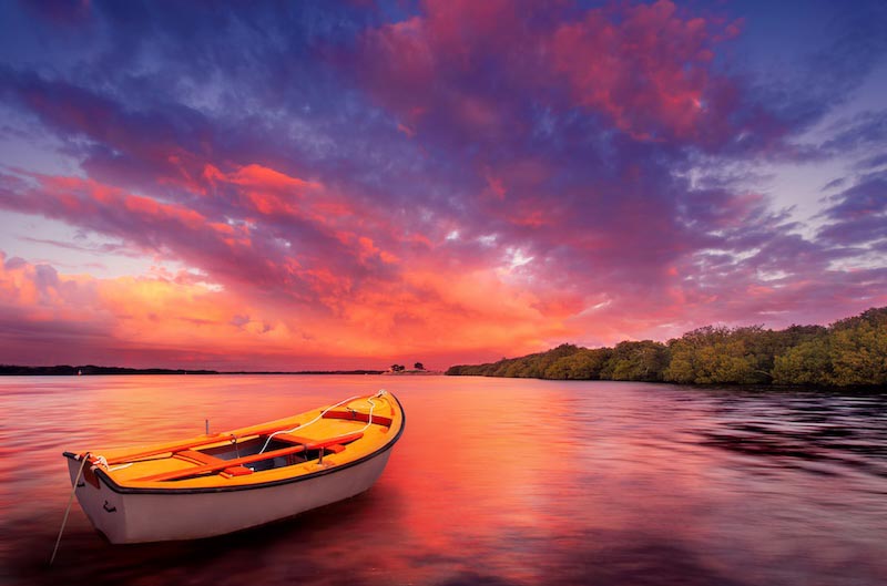 Plato wallpaper mural