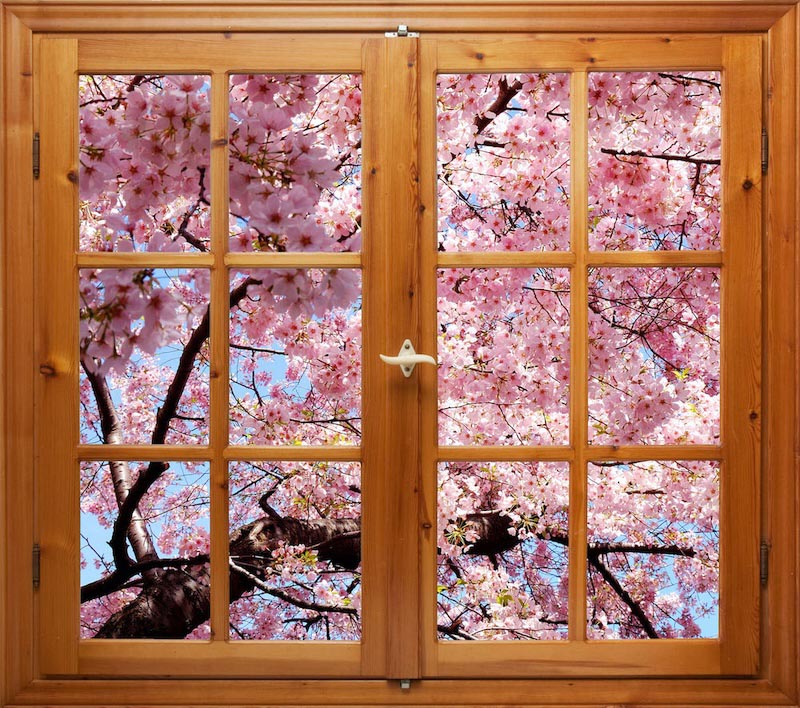 Spring Has Come To My House wallpaper mural