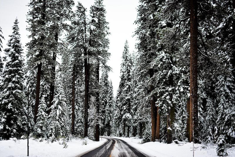 Traveling In The Snow wallpaper mural