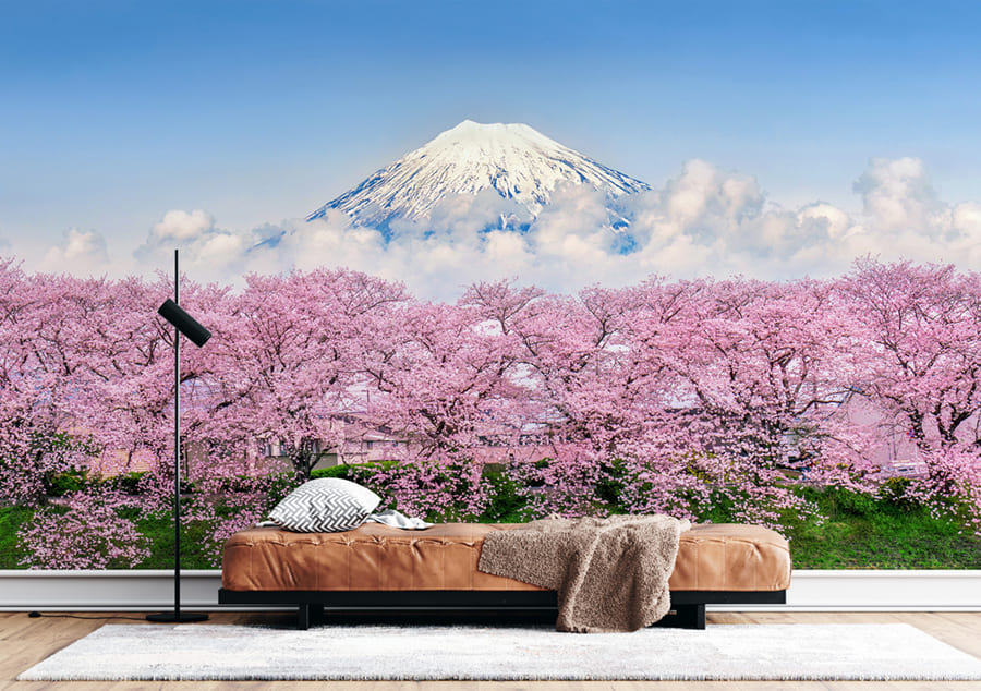 Snow-capped Mount Fuji above pink cherry blossoms