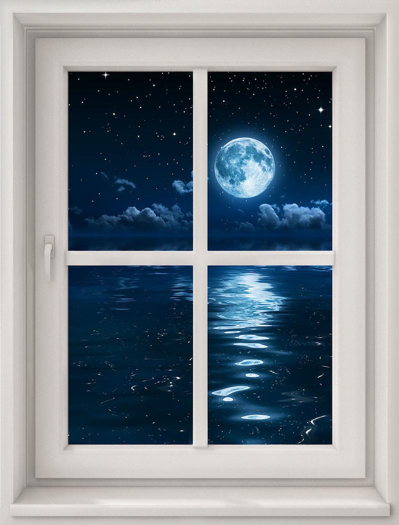 Moonlight From My Window wallpaper mural
