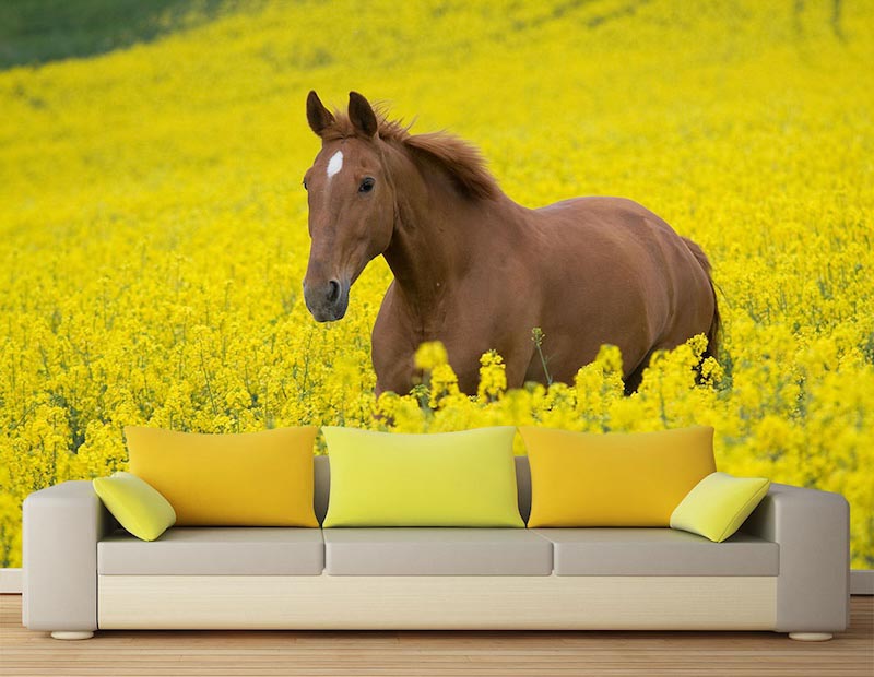 Horses running freely through an open natural landscape