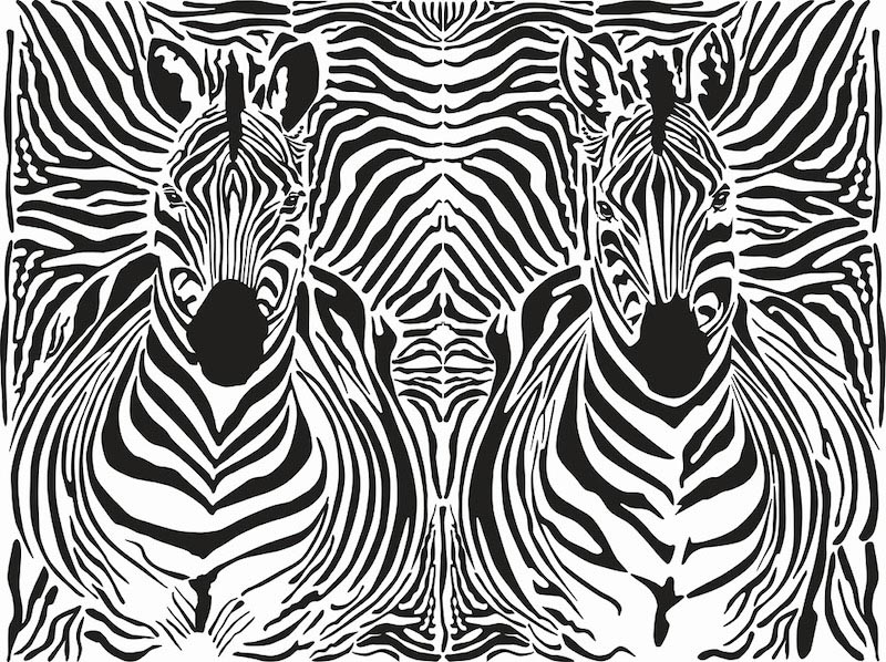 Zebra Stripes wallpaper mural