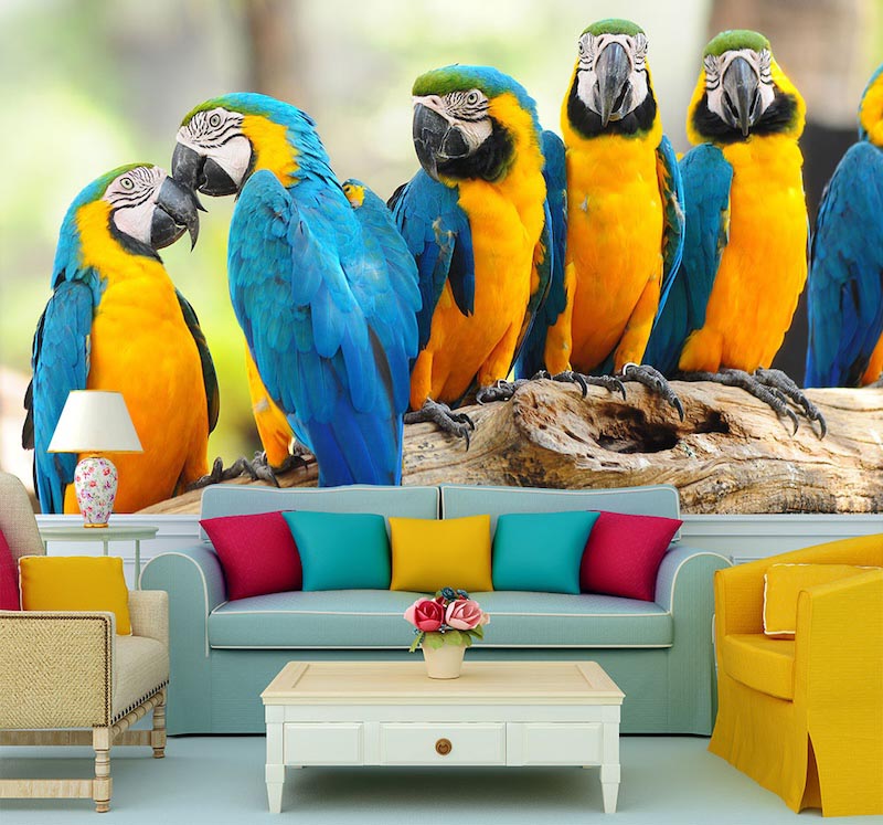 Yellow and dark blue parrots with vivid tropical colouring