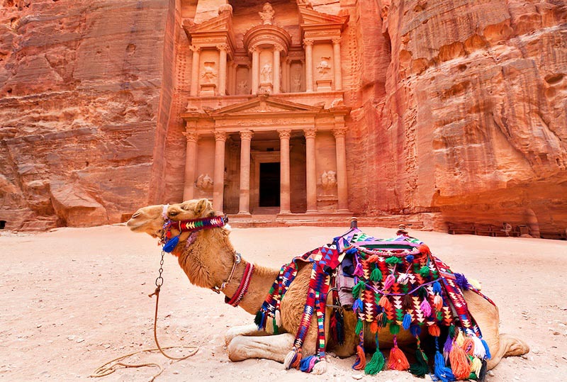 Silent Camel wallpaper mural