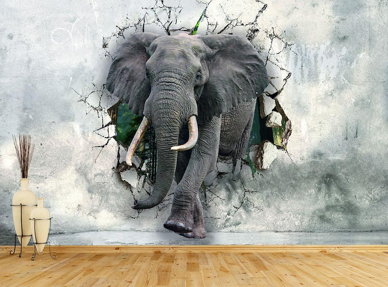 Powerful elephant portrait with warm earthy colouring