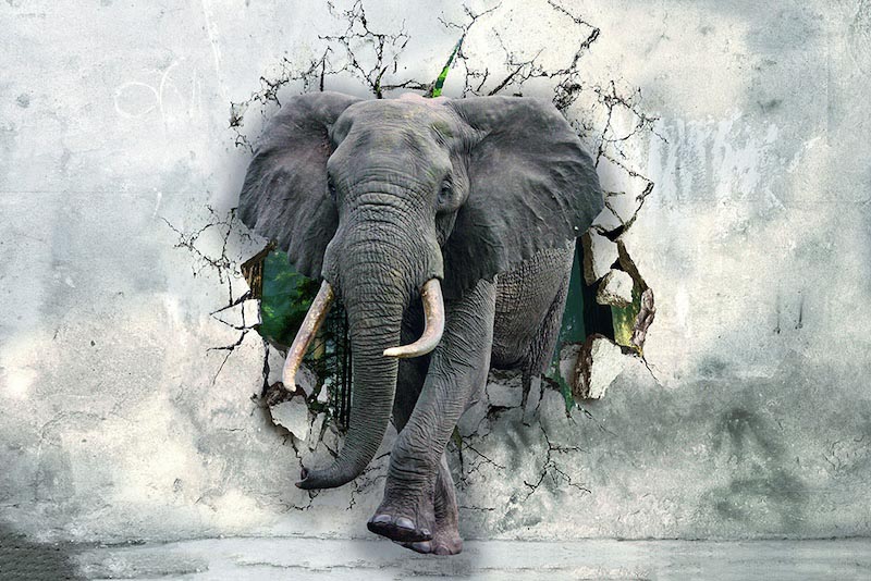 Mighty Elephant wallpaper mural