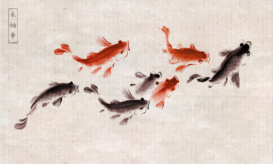Koi Fish wallpaper mural