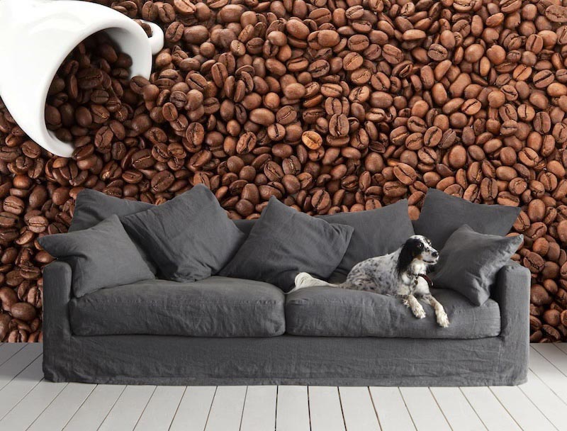 Smell of coffee - Photo wallpaper decor applied