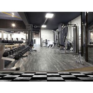 Modern Gym
