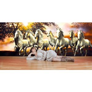 Seven Free Horses