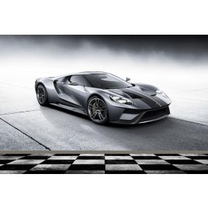 Ford Gt Silver