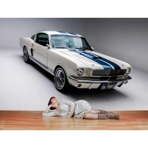 Mustang Car Model