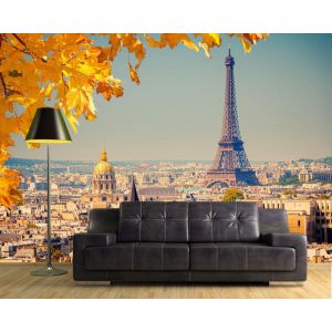 Autumn In Paris