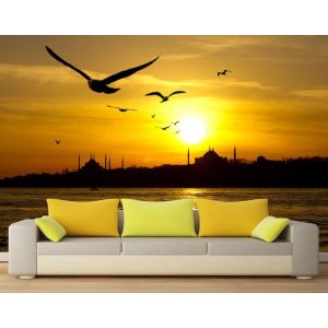 Seagulls Of Istanbul