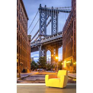 New York Bridge