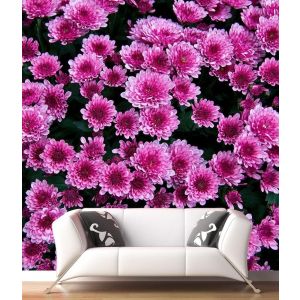 Purple Flowers