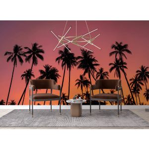 Tropical Palm Tree