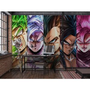 Dragon Ball Transformation