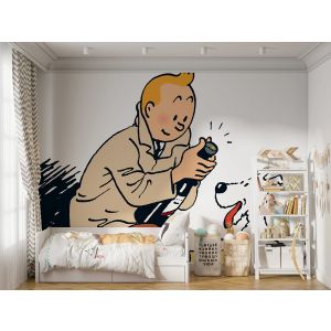 Tintin