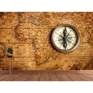 North Star World Map