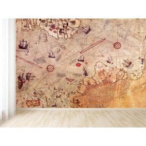 Piri Reis Map