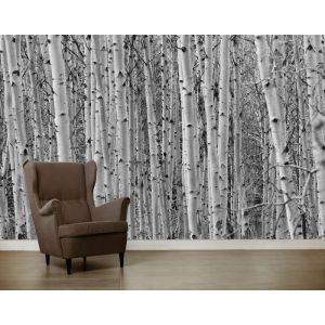 Poplars