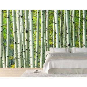 Green Poplars