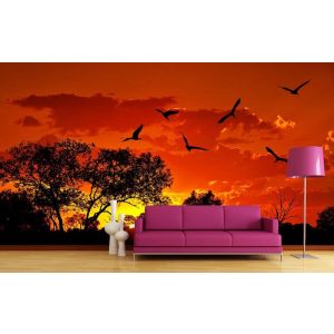 Red Sky